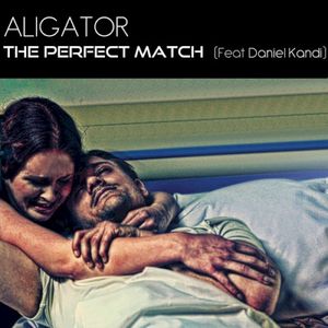 The Perfect Match (Single)