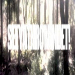 seeyathrowindet (Single)