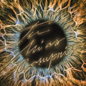 Tu m’as compris (Single)