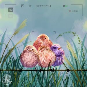 Birdwatching (Single)