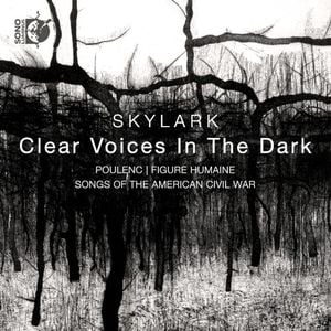 Clear Voices in the Dark