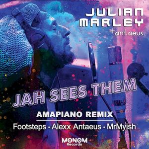 Jah Sees Them (Amapiano remix) (Single)