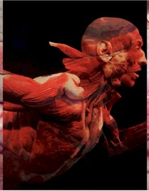 Manufactured Endangerment (Single)