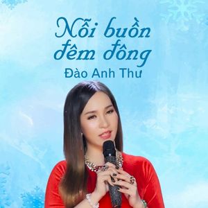 Nỗi Buồn Đêm Đông (Single)