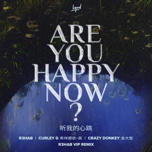 Are You Happy Now (R3HAB VIP remix) (Single)