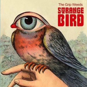 Strange Bird (Single)