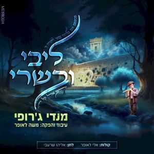 ליבי ובשרי (Single)