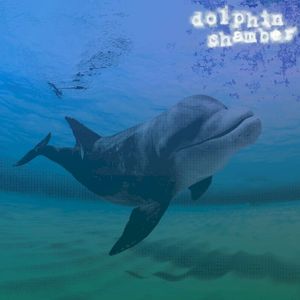 Dolphin Chamber