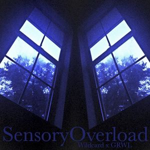 SensoryOverload (EP)