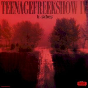 TeenageFreekshow IV: B-Sides