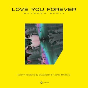 Love You Forever (Metrush remix)