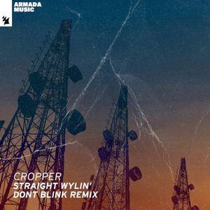 Straight Wylin’ (DONT BLINK Remix) (Single)