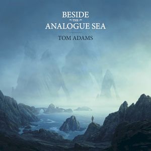 Beside the Analogue Sea