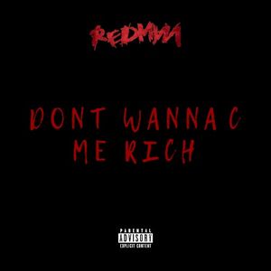 Dont Wanna C Me Rich (Single)