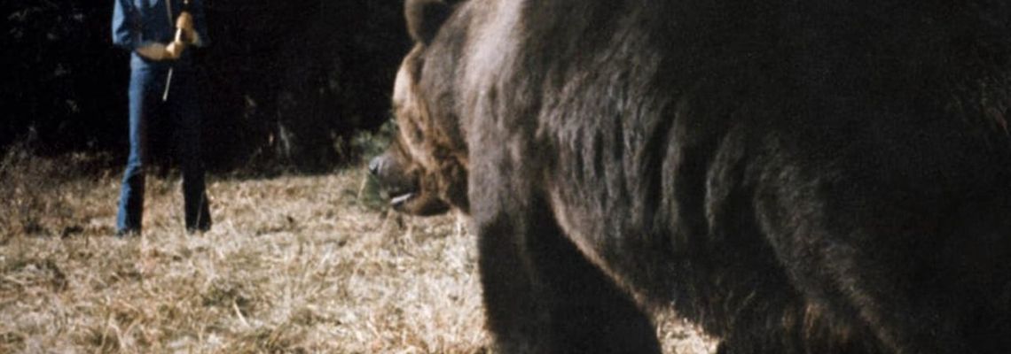 Cover Grizzly, le monstre de la forêt