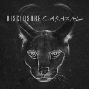 Caracal Album Mini Mix (Single)