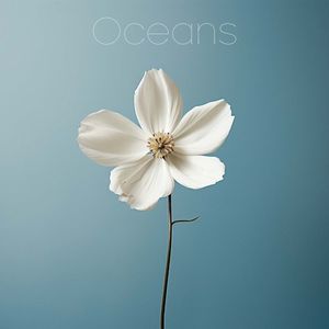 Oceans (Where Feet May Fail) (Single)