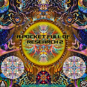 A Pocketful of Research 2