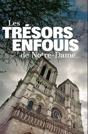 Enquête sur les trésors enfouis de Notre-Dame de Paris