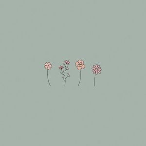 Flower Bed / Small Spaces (Single)