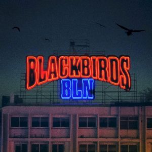 Blackbirds BLN (Single)