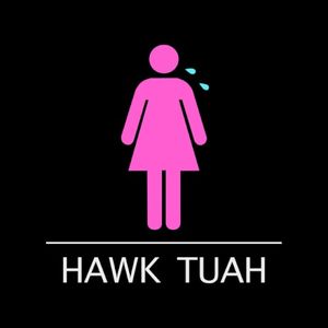 Hawk Tuah (Single)