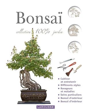 Bonsaï