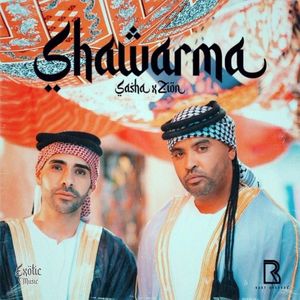 Shawarma (Single)