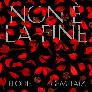 Non è la fine (Single)