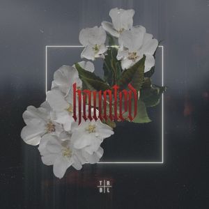 haunted (Single)