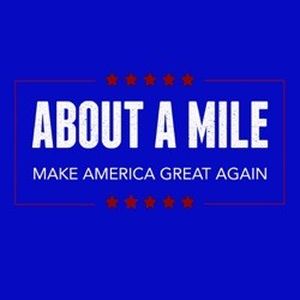 Make America Great Again (Single)