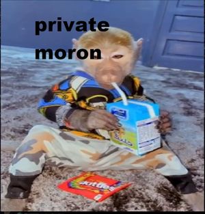 private moron (Single)