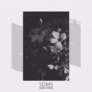 Dark Spring (Single)