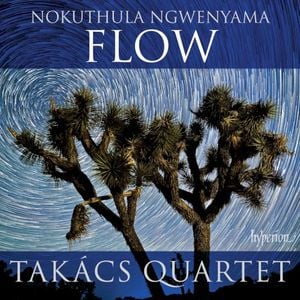 Ngwenyama: Flow