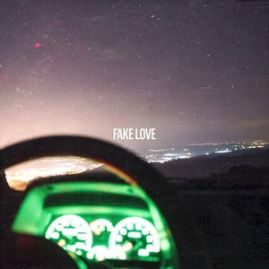 Fake Love (Single)