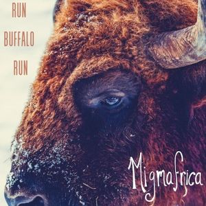 Run Buffalo Run (Single)