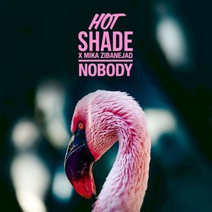 Nobody (Single)