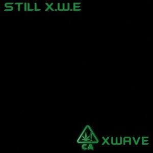 STILL (X.W.E) (Single)