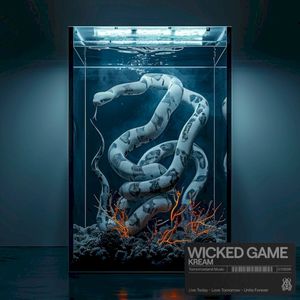 Wicked Game (Single)