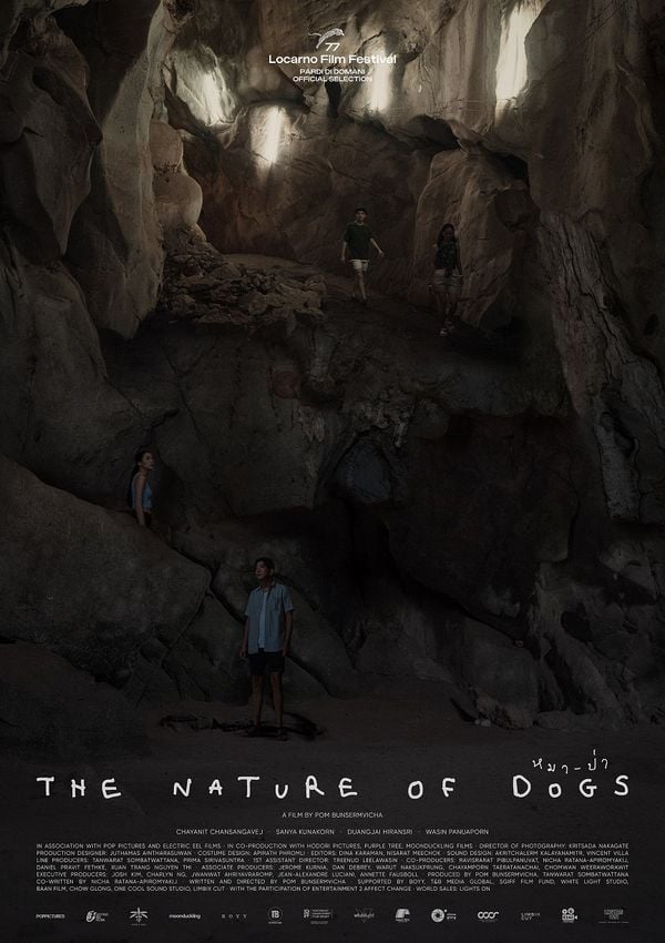 The Nature of Dogs