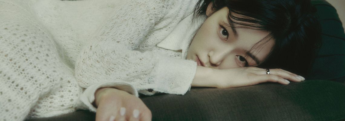 Cover Pour seul bagage