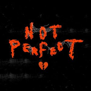 Not Perfect (Single)