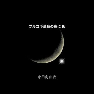 プルコギ革命の夜に 仮 (Single)