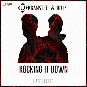 Rocking It Down (Single)