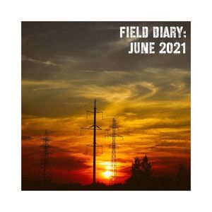 Field Diary: June 2021