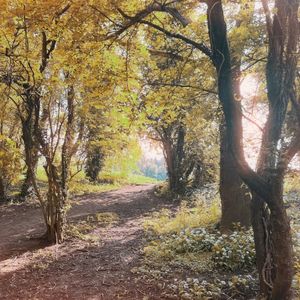 Memorytrail (Single)