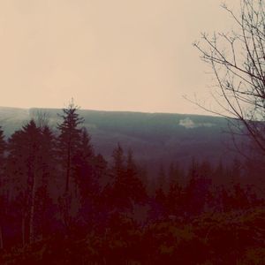 Amber Hill (Single)