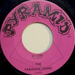 If I Cry / Please (Single)