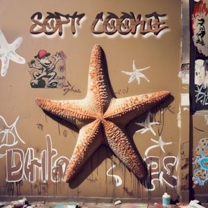 Soft Cookie (Single)