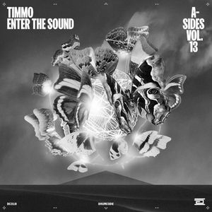 Enter the Sound (Single)